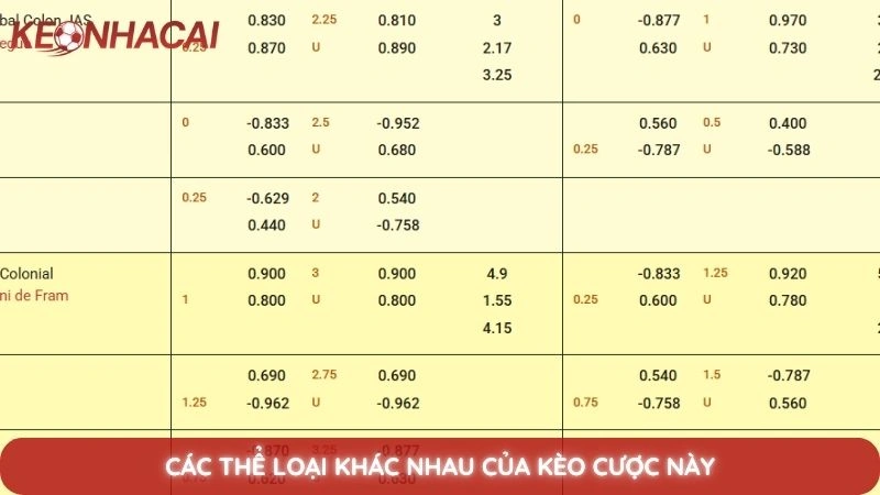Kèo Châu Á - Hướng dẫn đọc kèo Handicap chi tiết cho người mới 3 Các thể loại khác nhau của kèo cược này
