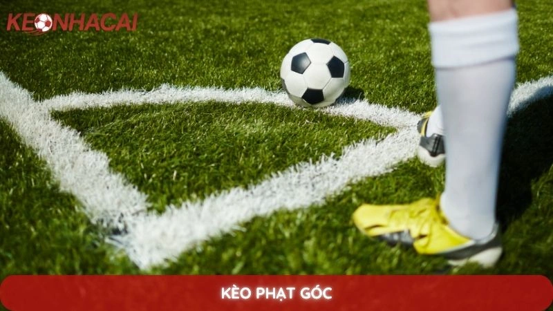 Kèo phạt góc là gì? Bí quyết soi kèo góc hiệu quả từ chuyên gia 8 kèo phạt góc