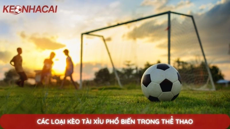Kèo tài xỉu - Hướng dẫn cách đọc và kinh nghiệm chơi kèo O/U 3 Các loại kèo tài xỉu phổ biến trong thể thao