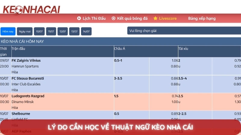 Thuật ngữ kèo nhà cái - Giải mã các thuật ngữ cá cược từ A-Z 2 Lý do cần học về thuật ngữ kèo nhà cái