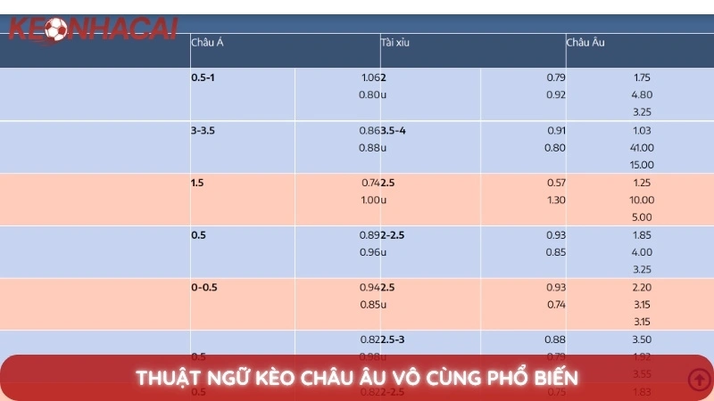 Thuật ngữ kèo nhà cái - Giải mã các thuật ngữ cá cược từ A-Z 3 Thuật ngữ kèo Châu Âu vô cùng phổ biến