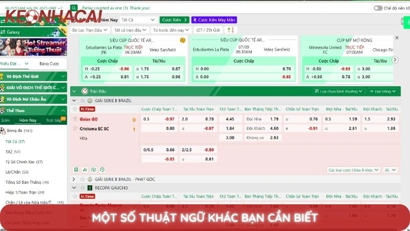 Thuật ngữ kèo nhà cái - Giải mã các thuật ngữ cá cược từ A-Z 4 Một số thuật ngữ khác bạn cần biết
