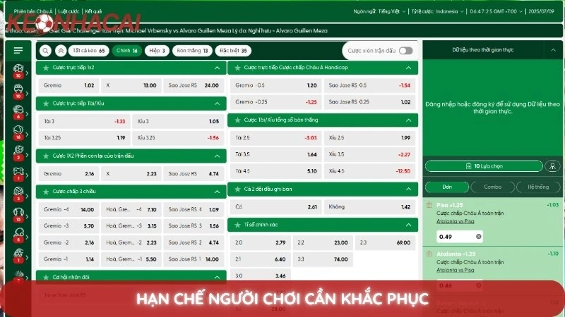 Tỷ lệ cược Indo - Cách đọc và quy đổi kèo Indonesia chuẩn xác 4 Hạn chế người chơi cần khắc phục