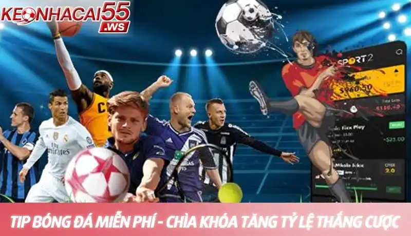 Tip bóng đá miễn phí - Nhận định soi kèo chất lượng và uy tín mỗi ngày 2 Tip bóng đá miễn phí - Chìa khóa nâng cao tỷ lệ thắng cược